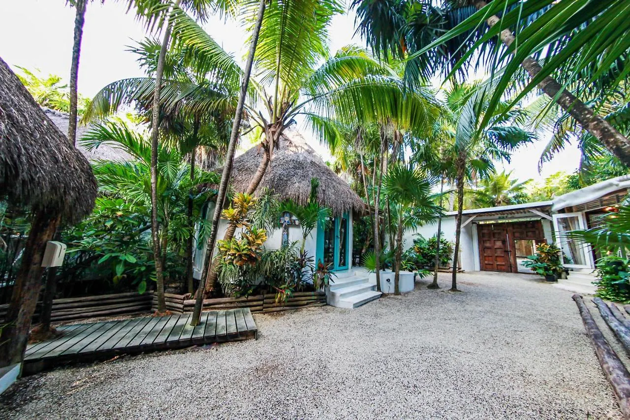 ***  Hotel Cormoran Tulum & Cenote Mexico