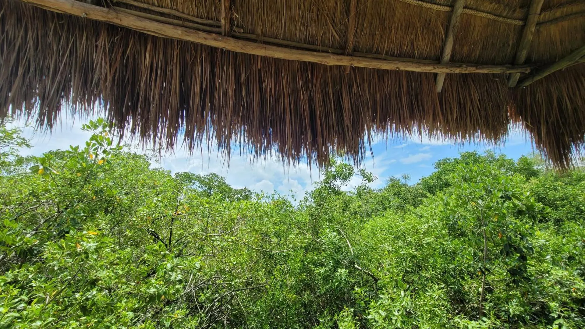 Hotel Cormoran Tulum & Cenote