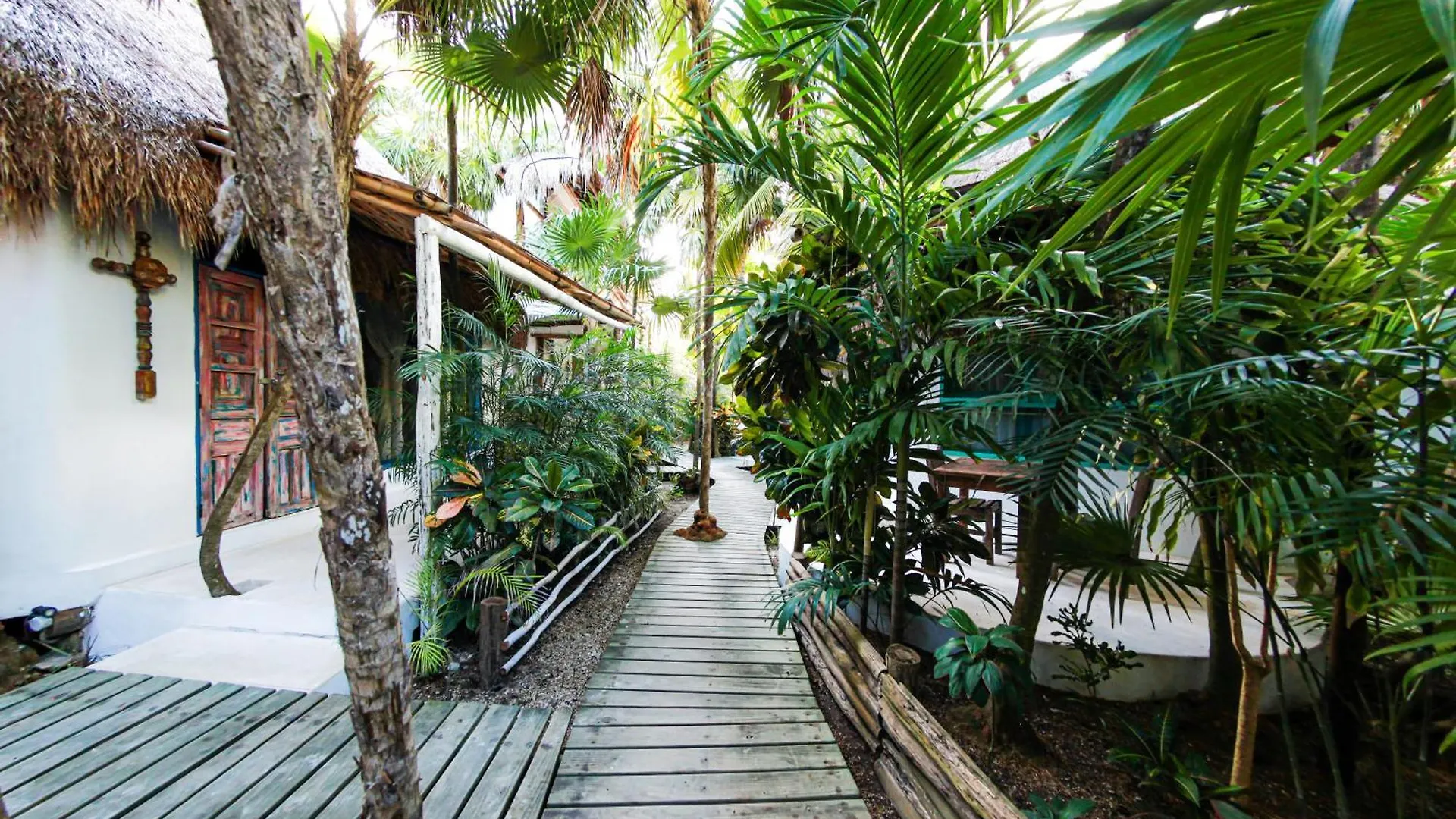 ***  Hotel Cormoran Tulum & Cenote Mexico